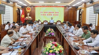El impresionante crecimiento de Binh Dinh abre una nueva página con un gran potencial de crecimiento.