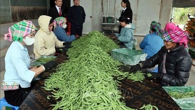 Từ ngày 1/7, nâng mức cho vay đối với cá nhân, hộ kinh doanh không có tài sản đảm bảo