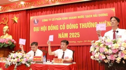 Hai Duong Clean Water Trading Joint Stock Company legt Dividendenausschüttung für 2024 fest und übertrifft Erwartungen