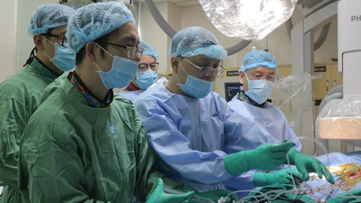 Việt Nam sắp diễn ra hội nghị chuyên sâu về kỹ thuật TAVI