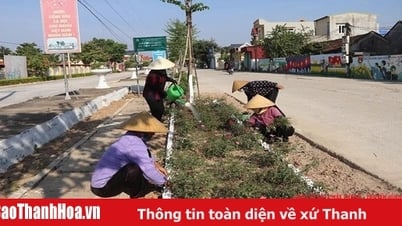 티에우호아의 새로운 농촌 개발의 전형적인 모델