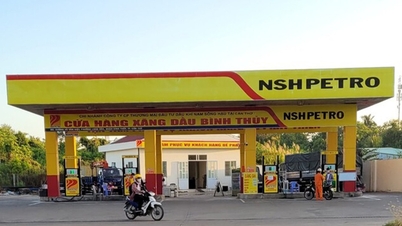 'Đại gia' xăng dầu miền Tây chưa hết vận đen, lỗ nặng và nợ thuế nghìn tỷ