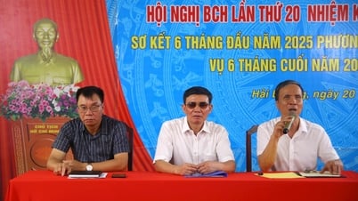 Total revenue from production and services of the blind increased by 2.6%