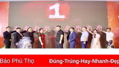 បើកអ្នកចែកចាយ 3S Premium MG Phu Tho