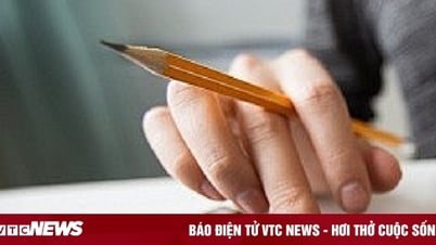 Bỏ thuế khoán, hộ kinh doanh phải nộp thuế gì?