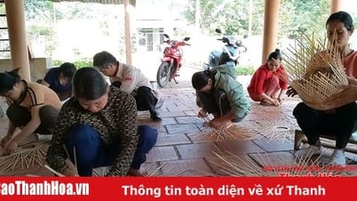 Lang Chánh chú trọng đào tạo nghề cho lao động nông thôn
