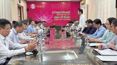 EVNNPT phối hợp với tỉnh Đồng Tháp triển khai dự án truyền tải điện cấp bách