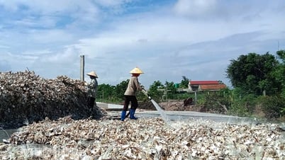 Kim Trung focuses on economic development and increasing people's income.