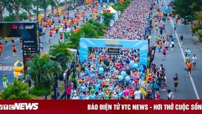 Garmin đưa giải chạy quy mô châu Á về Việt Nam