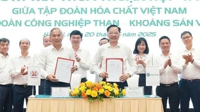Hai tập đoàn hóa chất và than, khoáng sản bắt tay hợp tác mua bán sản phẩm