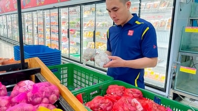 مواكبة اتجاهات الاستهلاك الأخضر