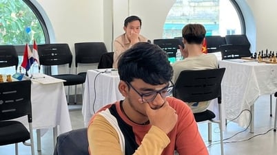 Kỳ thủ Ấn Độ giành chuẩn Đại kiện tướng quốc tế tại giải quốc tế ở Hà Nội