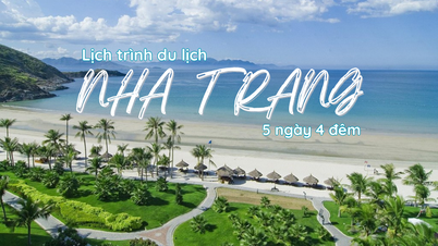 Du lịch Nha Trang 5 ngày 4 đêm: Hành trình khám phá thiên đường biển đảo
