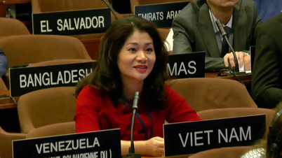 Vietnam als Mitglied des Zwischenstaatlichen Komitees für Konventionen der UNESCO wiedergewählt