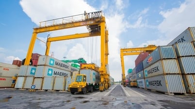 Viconship (VSC) nominiert 2 Personen für den Vorstand von Hai An (HAH)