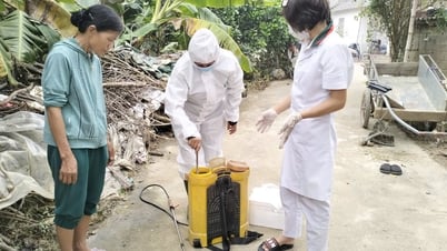 Prevention of infectious diseases during the rainy season