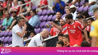 Cảnh tượng gây sốc tại FIFA Club World Cup