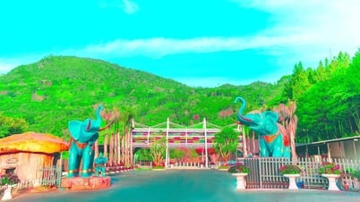 Elephant Mountain Pine Forest - New eco-tourism destination in the heart of Da Lat