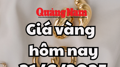 Giá vàng hôm nay 21/6/2025: Giá vàng trong nước ngập trong sắc xanh