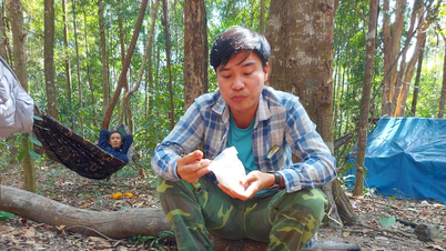 Nhớ những chuyến tác nghiệp ở rừng
