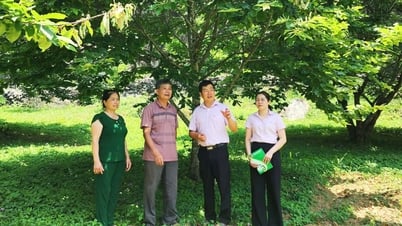 ដើមទុនគោលនយោបាយអមជាមួយប្រជាជននៅតំបន់ខ្ពង់រាបដើម្បីគេចចេញពីភាពក្រីក្រ - កាសែតអេឡិចត្រូនិក Cao Bang