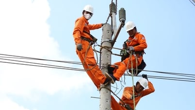 Le député Dak Nong promeut l'investissement dans les infrastructures électriques