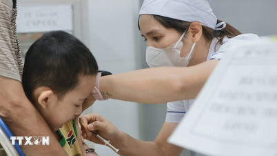 Ho Chi Minh-byen: 100 % av bydelene, kommunene og byene har oppfylt vilkårene for å erklære meslingeepidemien for over.