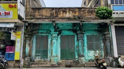 Bảo tồn hình hài 'tiếng thét' giữa kinh thành