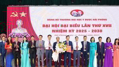 17e Congrès des délégués du Comité du Parti de l'Université de médecine et de pharmacie de Hai Phong, semestre 2025-2030
