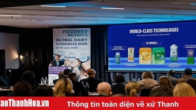 Vinamilk eleva la leche vietnamita con tecnologías innovadoras y gana el gran premio en la Conferencia Mundial de Lácteos 2025