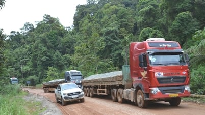 Khơi thông giao lộ kinh tế Đông - Tây