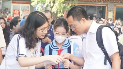 Tomorrow (June 22), Tran Dai Nghia 6th grade scores and benchmarks will be announced, look up on Nguoi Lao Dong Newspaper