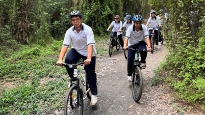 Müll aufsammeln, damit der Wald grün bleibt – Radfahren für ein gesundes Erlebnis