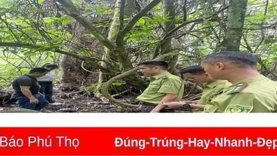ការដោះលែងសត្វព្រៃដ៏កម្រចូលទៅក្នុងព្រៃវិញ។