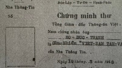 Việt Nam Tân văn - tờ báo đối ngoại hiếm hoi trong kháng chiến chống Pháp