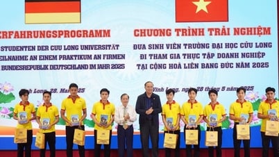 Trường ĐH Cửu Long tăng cường hợp tác đưa sinh viên đi thực tập, làm việc ở nước ngoài