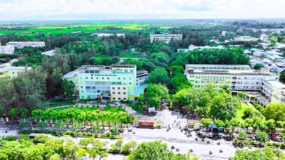 Tra Vinh University는 지역 사회 및 지역 사회 개발에 기여하기 위해 연구합니다.