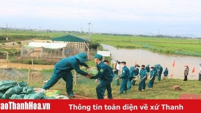5 tâches clés pour améliorer l'efficacité de la prévention, de la réponse et du rétablissement en cas de catastrophe dans la province