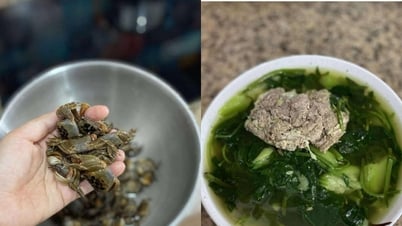Spezialfische, die aus dem Boden kommen, verwenden Sie nachts 1 Stunde lang eine Lampe, um ein paar Kilo zu fangen und kochen Sie sie zu einer kühlen Suppe