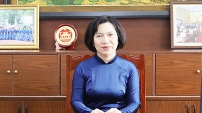 타이호 지구 당위원회 서기, 인민위원회 위원장 레 티 투 항: