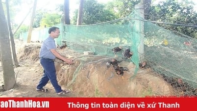 鉱山技師は丘陵地帯の開発に取り掛かるために故郷に戻った。
