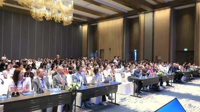 650명 이상의 국내외 안과 의사들이 하이퐁에서 열린 제13회 베트남 유리체망막학회에 참석했습니다.
