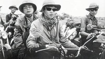 Làm báo trong rừng