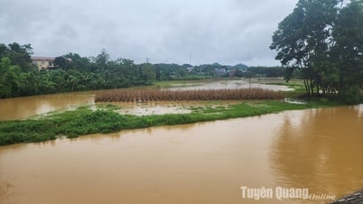Mưa lớn gây thiệt hại ở một số địa phương