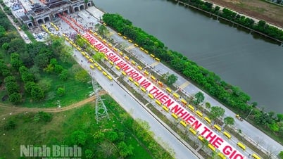 Полумарафон наследия Ниньбиня 2025 — Путешествие ради любви