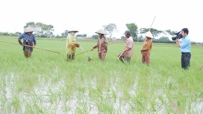 Tâm huyết của những người làm báo không chuyên