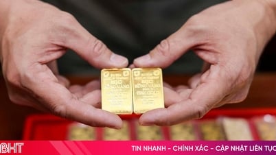 Giá vàng hôm nay 21/6/2025: Gần như đi ngang