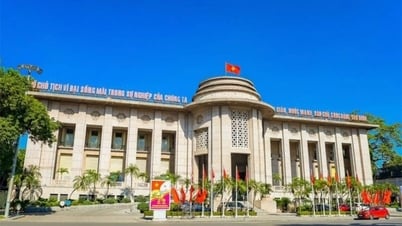 Ngân hàng Nhà nước tổ chức lại hệ thống chi nhánh khu vực