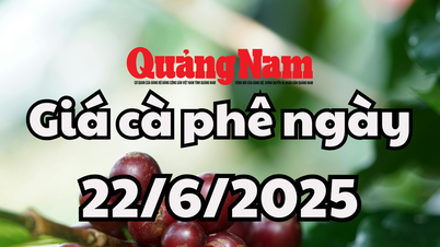 Tin tức, dự báo giá cà phê ngày mai 22/6/2025 chững giá đợi phục hồi