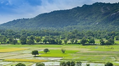 អាហារនៅបរទេស